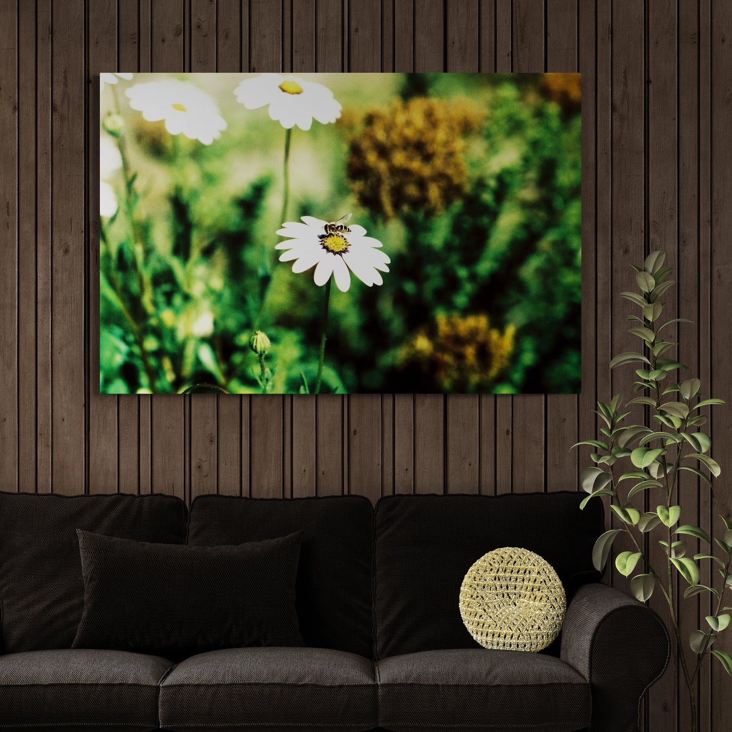 Golden Landing – 35mm Film Canvas Print