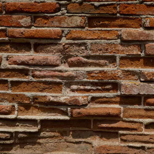 Close-up photograph of an aged brick wall with uneven masonry, weathered mortar and warm rust and clay tones.