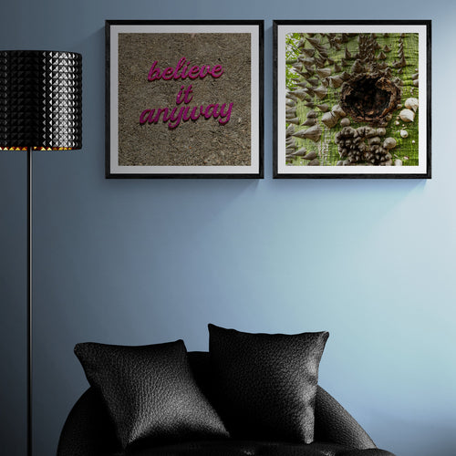 Believe It Anyway magenta typography art print paired with a close-up pochote tree photograph in black frames against a blue wall.