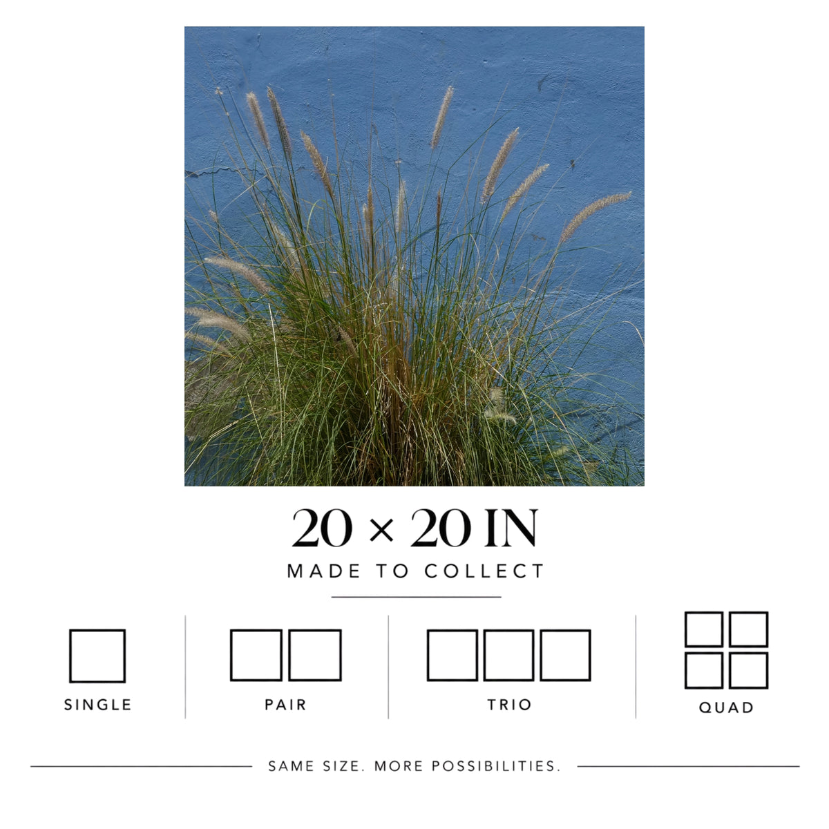 Blue Grass | Matte Art Print