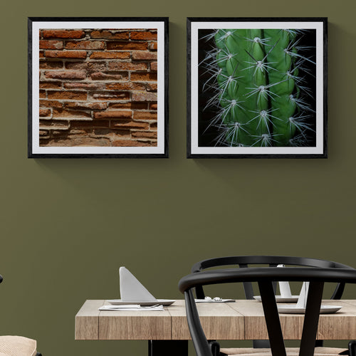 Two 20x20 matte art prints featuring weathered brickwork and a close-up green cactus, displayed in black frames above a modern dining table on an olive green wall.