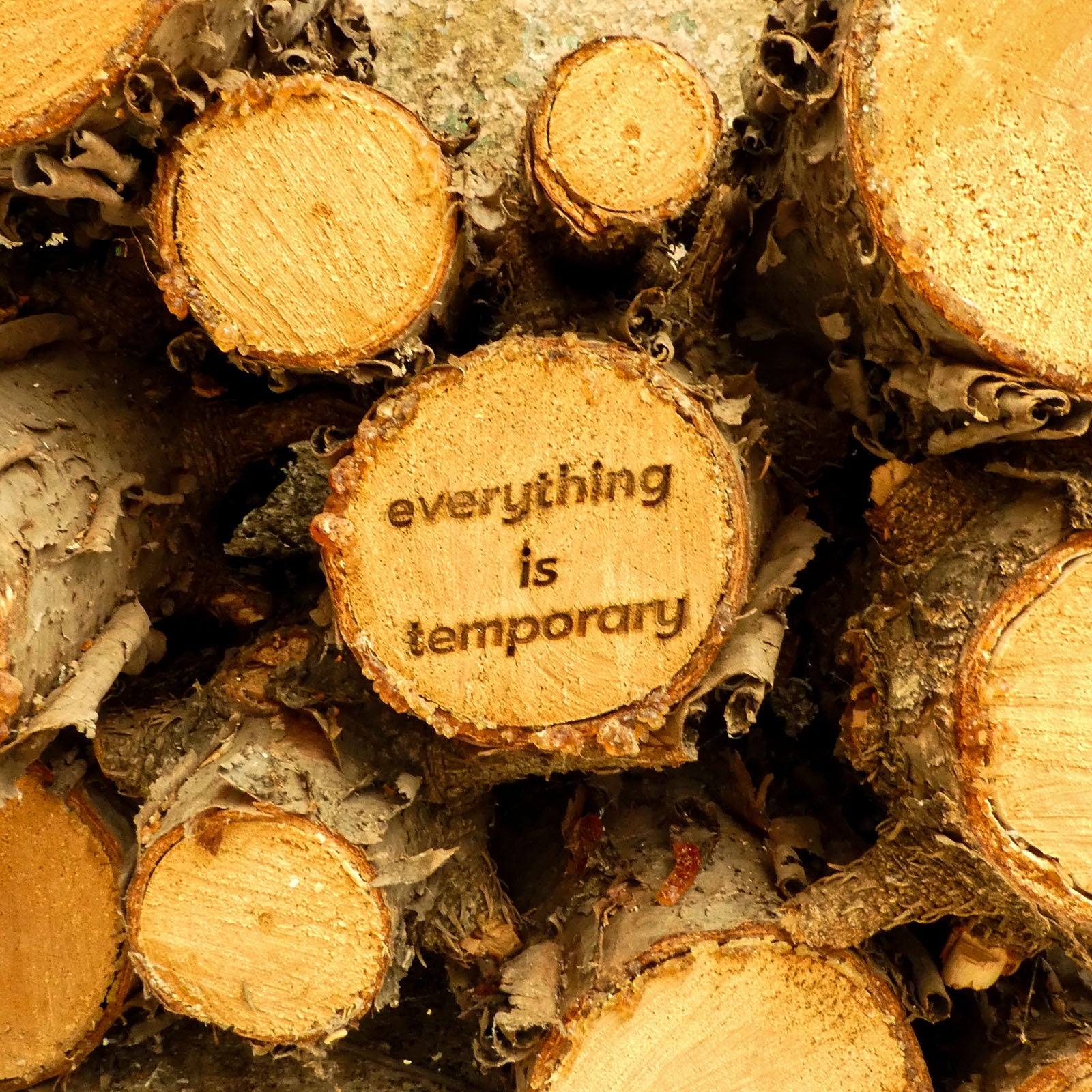 Everything Is Temporary