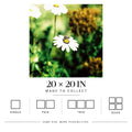 Golden Landing | Matte Art Print