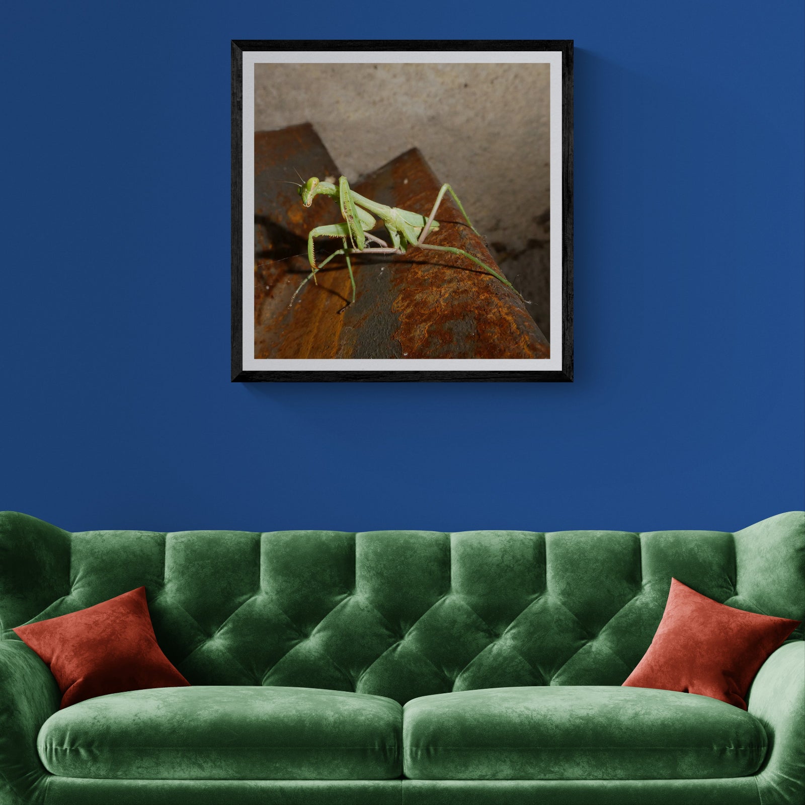 Green Omen praying mantis photography art print displayed as 30 × 30 wall art in a black frame above a green velvet sofa on a blue wall.