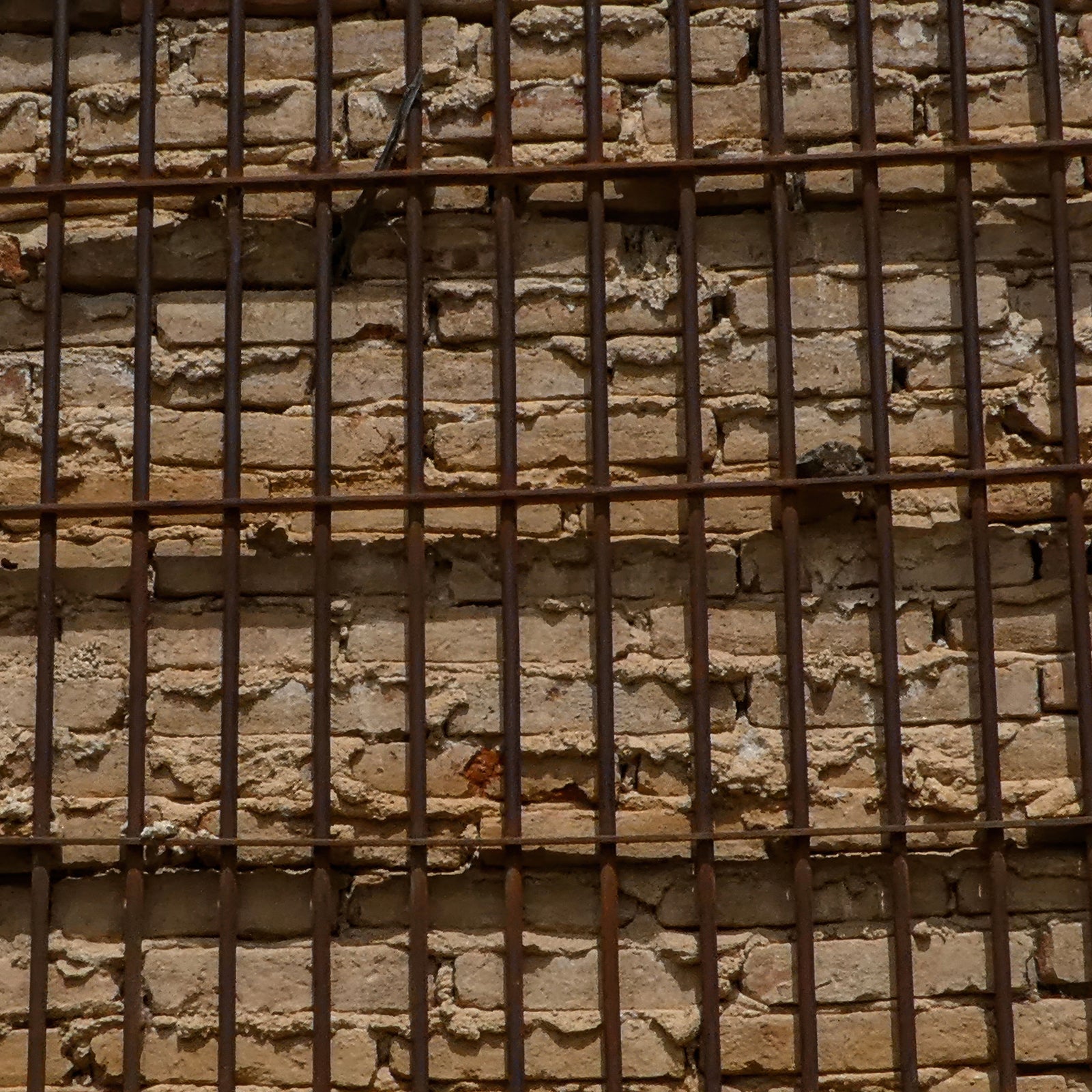 Rusted metal grid layered over an aged brick wall in a square architectural photograph with warm neutral tones.
