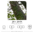 Hug a Tree | Matte Art Print