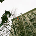 Lost Balloons film photograph featuring colorful balloons caught in bare tree branches above an urban building and ornate street lamp.