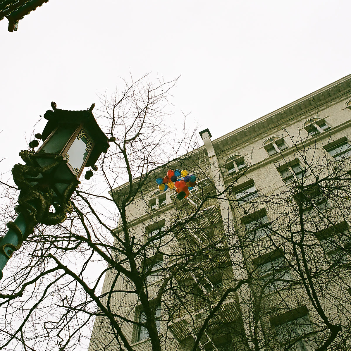 Lost Balloons film photograph featuring colorful balloons caught in bare tree branches above an urban building and ornate street lamp.