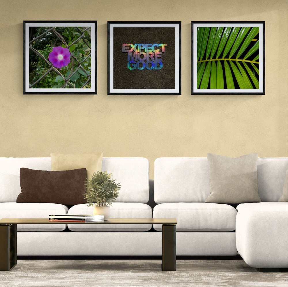 Trio Layout