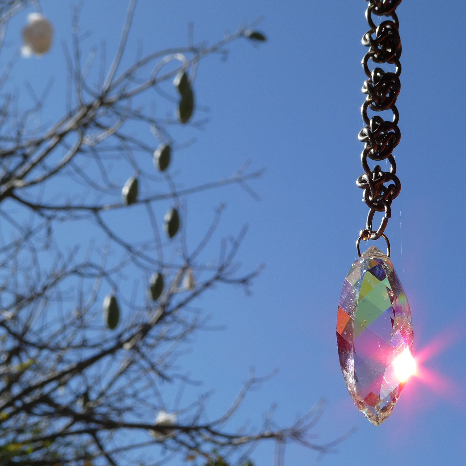 Pochote Prism
