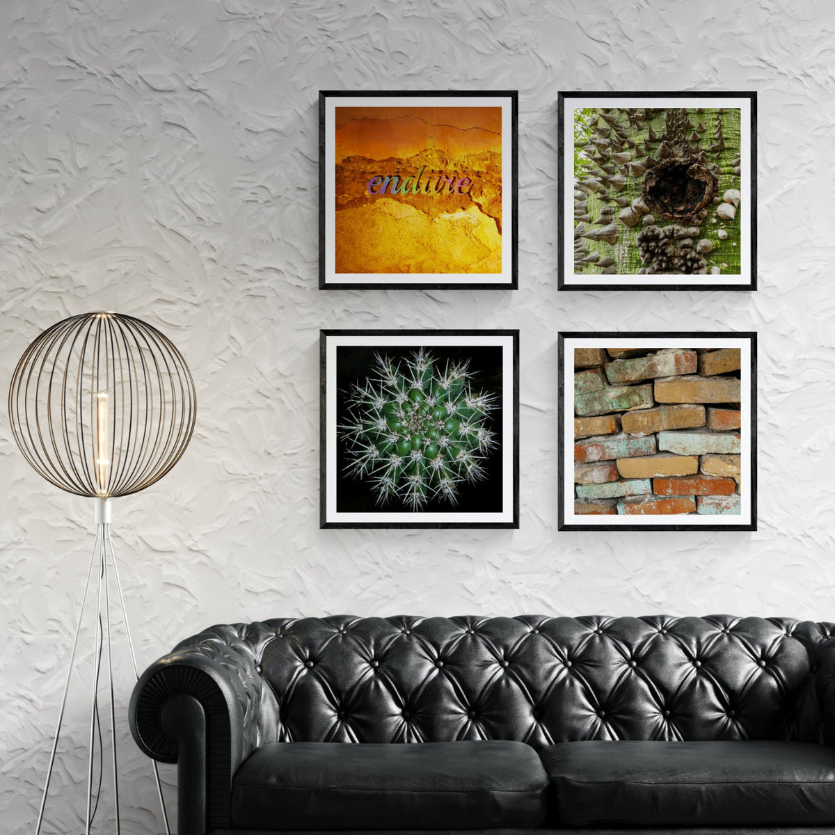 Four framed art prints featuring Endure typography on a cracked orange surface, a thorn-covered pochote trunk, a spiny green cactus, and weathered bricks above a black leather sofa.