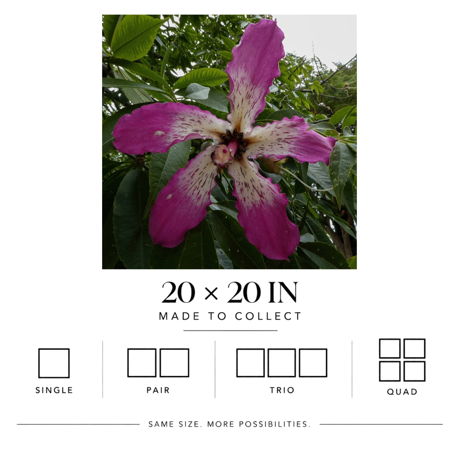 Show Off | Matte Art Print