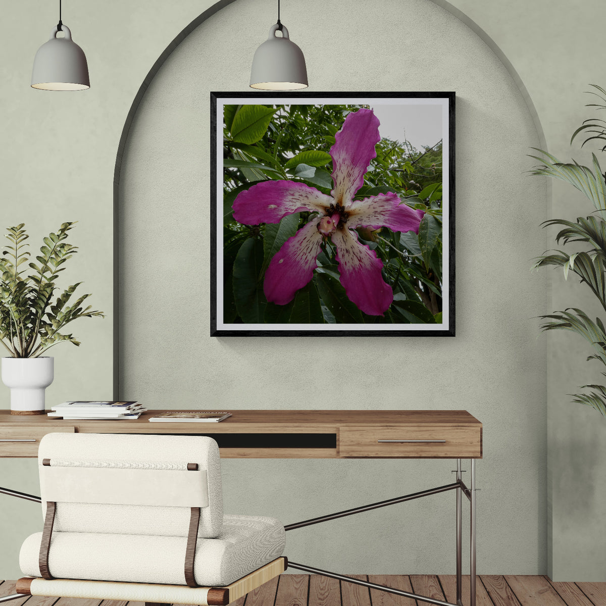 Show Off pochote flower photography art print displayed as 30 × 30 wall art in a black frame above a desk in a modern home office.