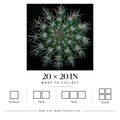 Star Power | Matte Art Print
